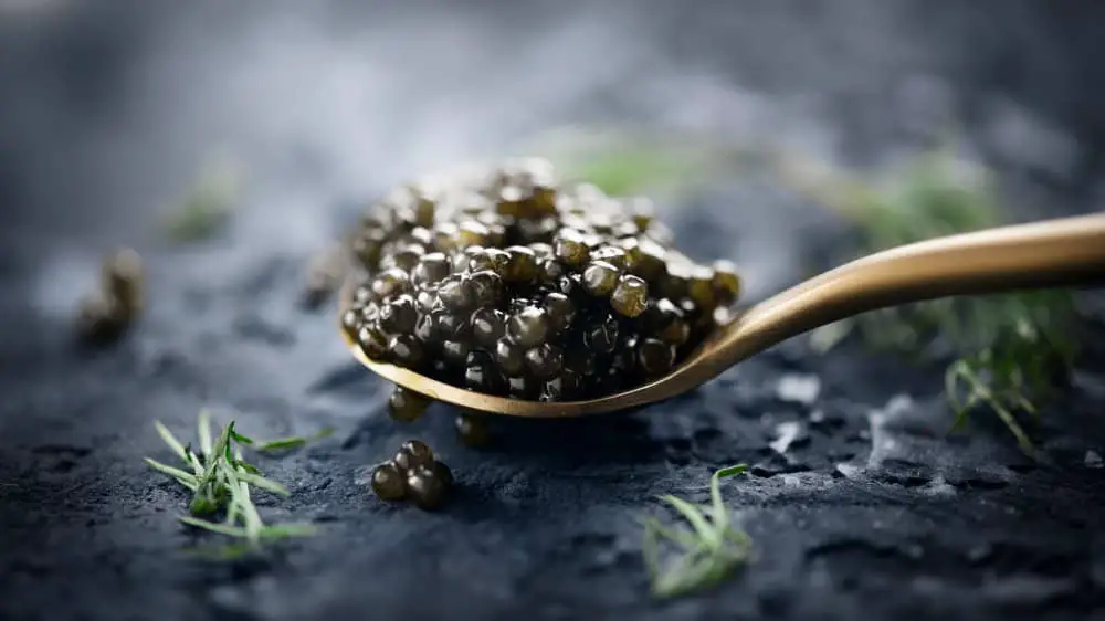 Are Caviar Eggs Alive?