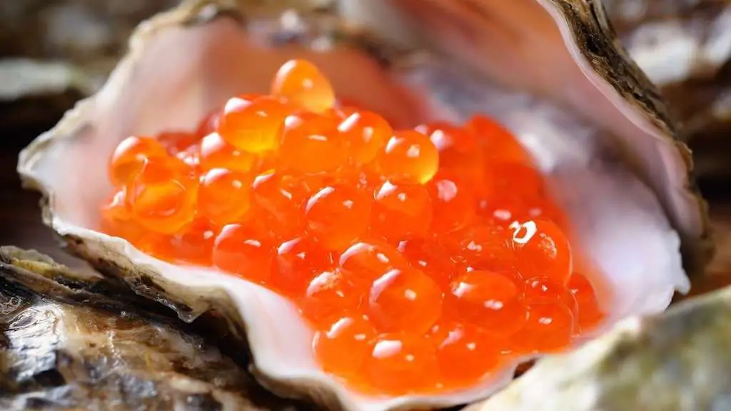 Do Salmon Produce Caviar?