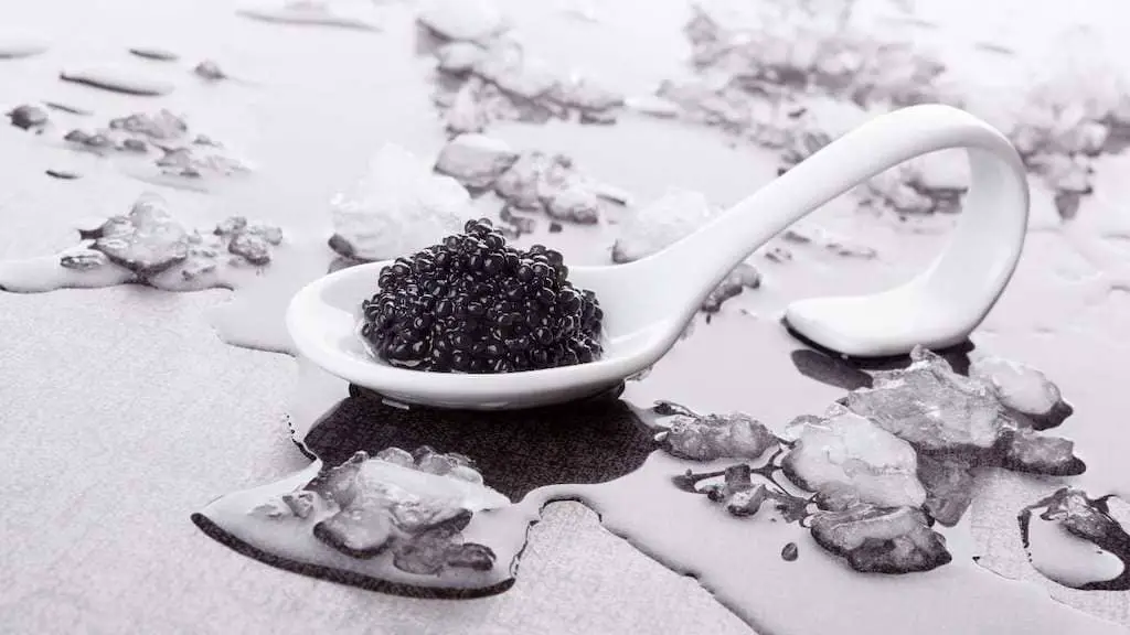 Does Black Caviar Expire? 