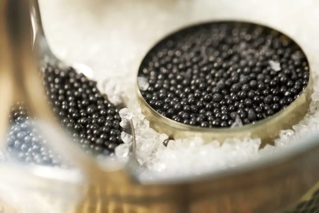 Black caviar in a can on top of some salt