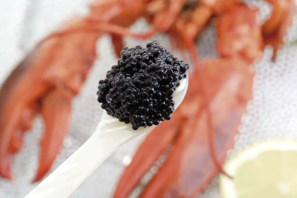 Black caviar on a mother-of-pearl spoon 
