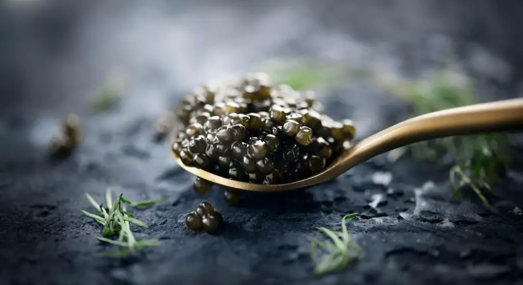 A golden spoon of Ossetra caviar 