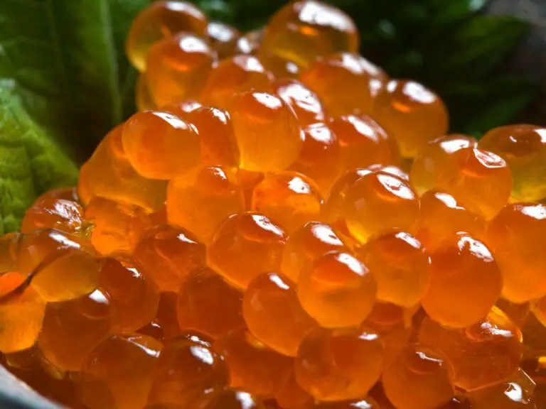 curing salmon roe