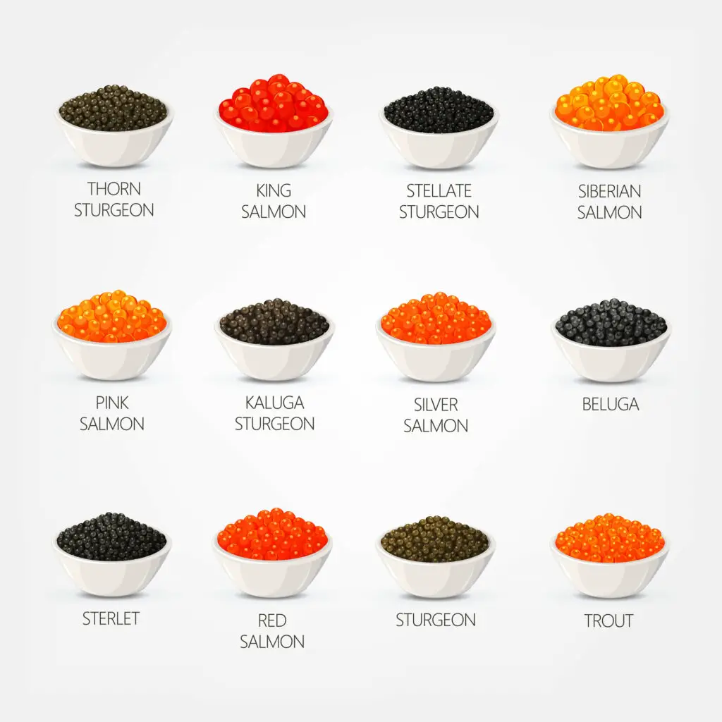Different types of caviar
