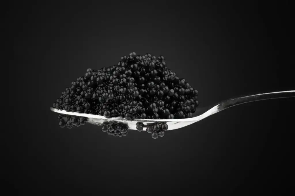 Black caviar in a spoon
