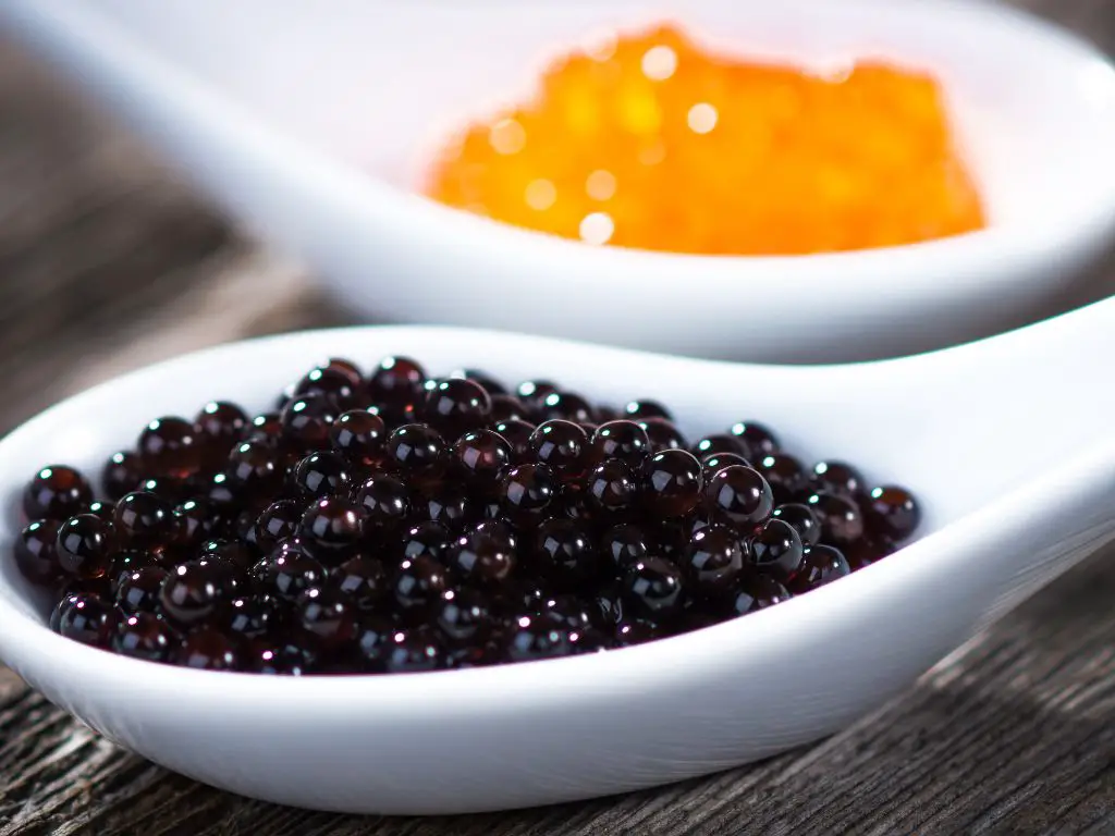 where does caviar come from